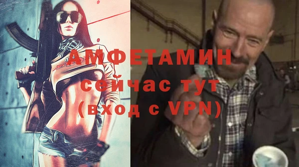 сатива Няндома