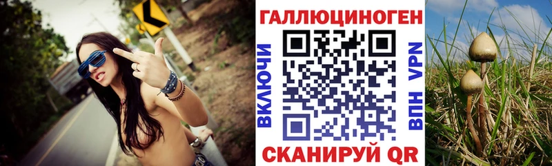 Галлюциногенные грибы Cubensis  Малоярославец 